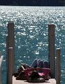 IMG_2233 copy